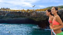 Snorkeling in Marietas Islands and BBQ in Playa Majahuitas
