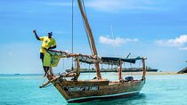 Safari Blue Adventure and Activity with Gourmet Lunch - Zanzibar