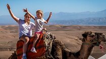 Quad, Camel, pickup, dinner & Show at Agafay desert at Marrakech
