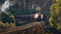 Puffing Billy Train&Healesville Sanctuary&Yarra Valley Wine Tour