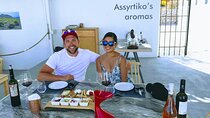 Experience Santorini: Wine Tasting Small Group Tour