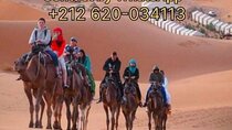 Overnight stay in Merzouga Desert Camp Erg chebbi