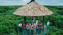 Private Eco Experience in Vam Sat Mangrove