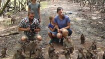 Private Vam Sat Mangrove Safari and Monkey Island Tour