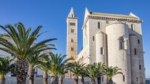 Private transfer: Naples to Lecce,2h of sightseeing stop in Trani