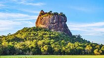 World Heritage Sigiriya and Dambulla Day Tour