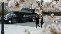 The DC Cherry Blossom Bus Tour with Tidal Basin Guided Walk
