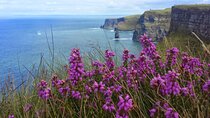 Private Day Tour Cliffs of Moher from Dublin