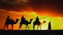 Sunset Camel Ride & Traditional Dinner with Show in Agafay Desert