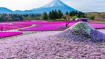 Tokyo Mount Fuji and Hakone Private Day Tour