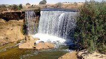 Fayoum full Day Tour from Cairo