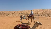 Muscat Bidiya Desert Sunset Camel Ride with Transfer