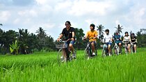 Bali’s Hidden Rivers & Fields: Private E-Bike Village Tour