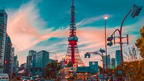 Tokyo Unlocked: A Private Day of Culture, Cuisine & City Secrets