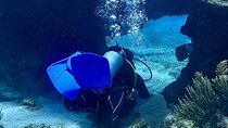 Scuba Diving for Beginners – Tulum Dive Machine