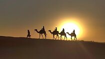 4 Days Private Tour from Agadir to Marrakech with overnight in Erg Chegaga Dunes
