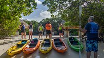 Adventurous Clear Kayak And Snorkeling Tour At Mangel Halto