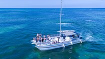 Punta Cana Private Catamaran Cruise: Snorkeling, Beach & BBQ