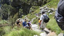 Hiking and Trekking on Table Mountain with Transport