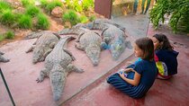 Crocoparc & Tree-Climbing Goats Morning Tour