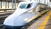 Kyoto Early Bird Tour Tokyo Round Trip Shinkansen Option