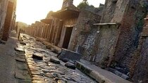 Pompeii in a Day from Rome Private