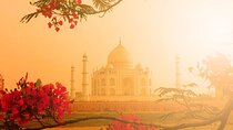 Same Day Taj Mahal Tour by Train