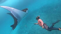 Nusa Penida Island West Snorkeling With Manta Rays