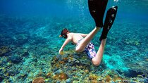 Bali Snorkeling Tour at Blue Lagoon and Tanjung Jepun Beach