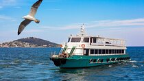 Istanbul Bosphorus Sightseeing Cruise with Audio Guide