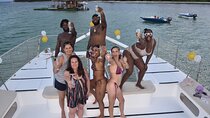 Punta Cana Private Catamaran Sunset Cruise with BBQ & Champagne
