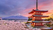 Mount Fuji Panoramic View and Shopping Day Tour