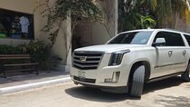 Private Vip and Minivan Punta Cana Round Trip Airport Transfer