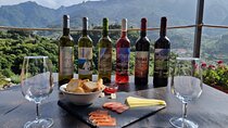 Madeira North Wine Tasting Tour