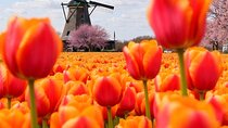 Amsterdam: Private Tour Windmills, Castle and Volendam