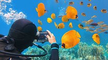 Sharm El-Sheikh: Ras Muhammed & White Island By Boat & intro Dive