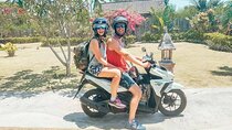 Visit Negombo by Scooty - All Inclusive