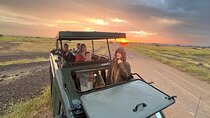 Safari in Tsavo and Amboseli for 4 Days and 3 Nights 