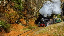 With the Steam Train Through Transylvania