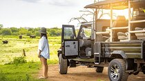 Private Tour from Galle to Ella with Udawalawe Safari