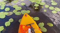 Stand Up Paddle tour from Tirana Albania to Skadar Lake & Buna River