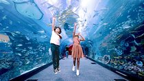 Dubai Aquarium and Underwater Zoo with Penguin Cove
