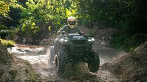 ATV Xperience in Playa del Carmen with Lunch and Water Activity