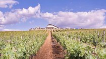 Ronda Wine Tasting with Tapas in a Scenic Vineyard