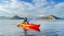 Skadar Lake: Kayak and SUP Rental