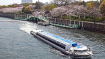 Cherry Blossoms Cruise and Osaka Castle Spring Tour 