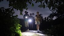 Night Walk: A Journey into the Forest's Nightlife