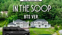 BTS In The Soop Version: One Day Private VIP Tour