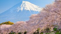 Mount Fuji & Hakone: 1-Day Private Van Tour with Hotel Pick-Up