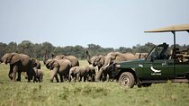 Four Day and Beyond Kichwa Tembo Luxury Safari